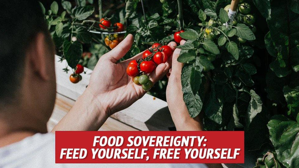 Food Sovereignty: Feed Yourself, Free Yourself - My Patriot Supply