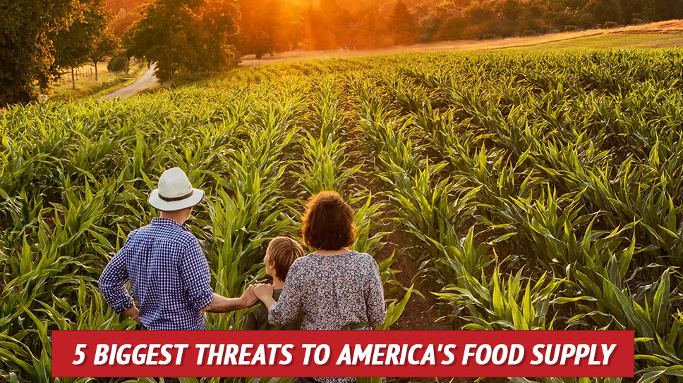 5 Biggest Threats to America's Food Supply
