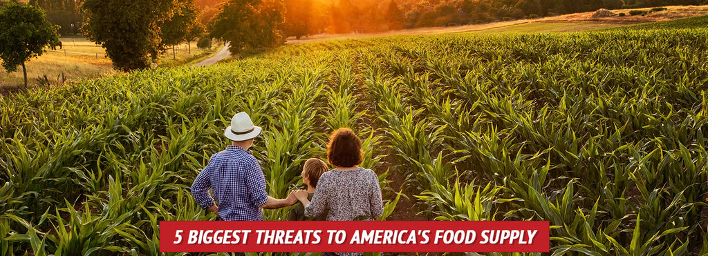5 Biggest Threats to America's Food Supply