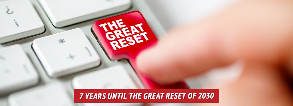 7 Years until the Great Reset of 2030