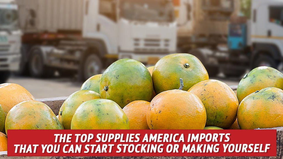 The Top Supplies America Imports That You Can Start Stocking or Making Yourself