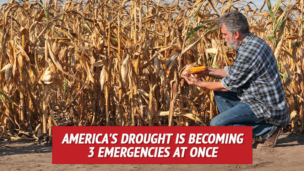 America's Drought Is Becoming 3 Emergencies at Once