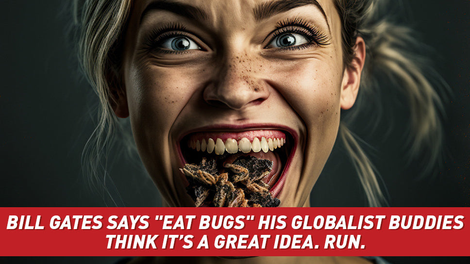 The Future of Meat Is...Bugs?