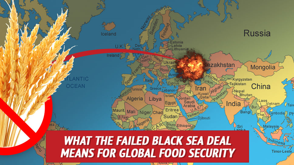 What the Failed Black Sea Deal Means for Global Food Security