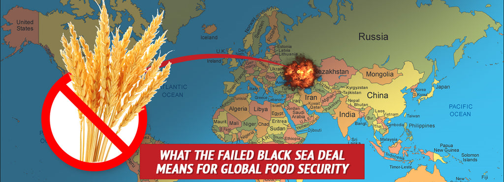 What the Failed Black Sea Deal Means for Global Food Security