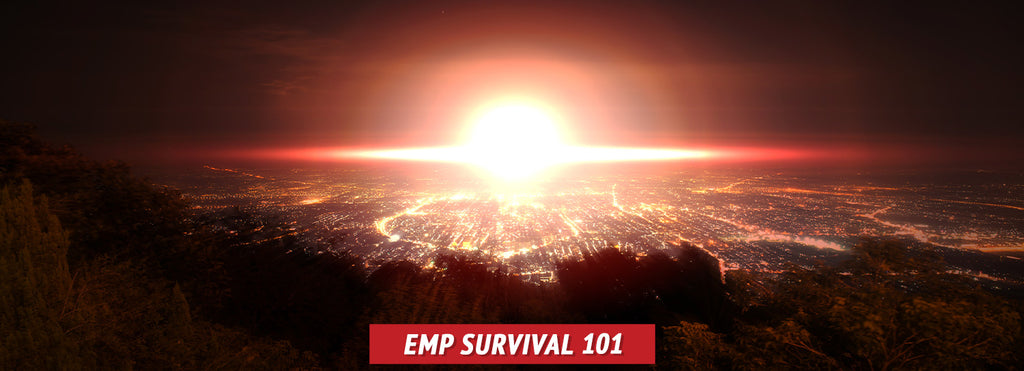 EMP Survival 101