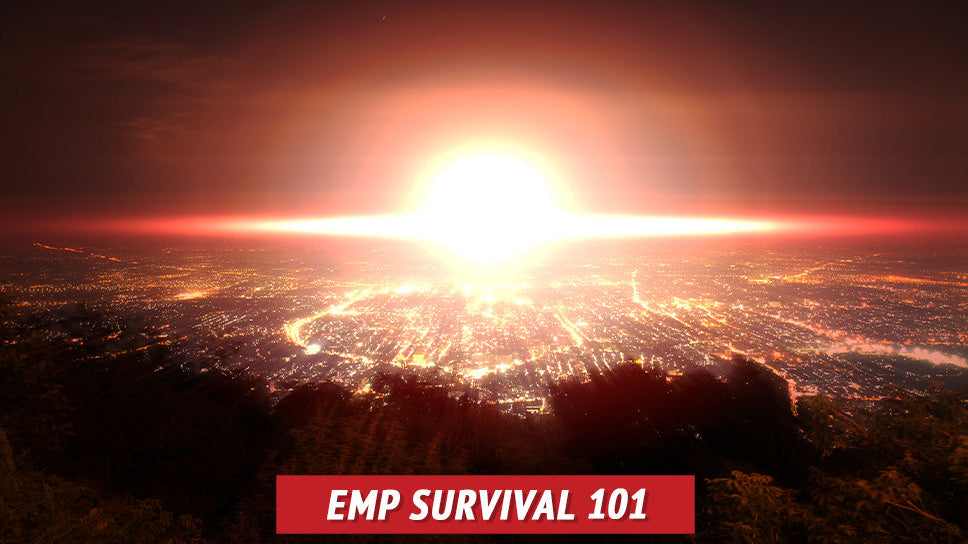EMP Survival 101