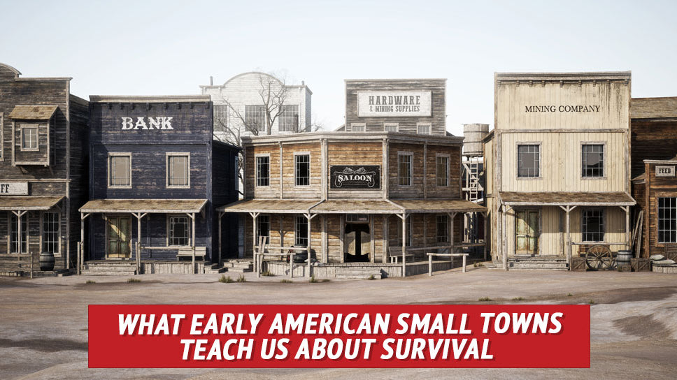 What Early American Small Towns Teach Us about Survival