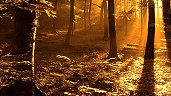 Don't Get Caught Unprepared This Fall - My Patriot Supply