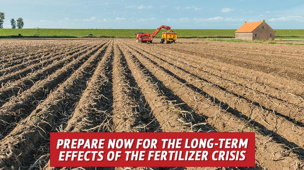 Prepare Now for the Long-Term Effects of the Fertilizer Crisis