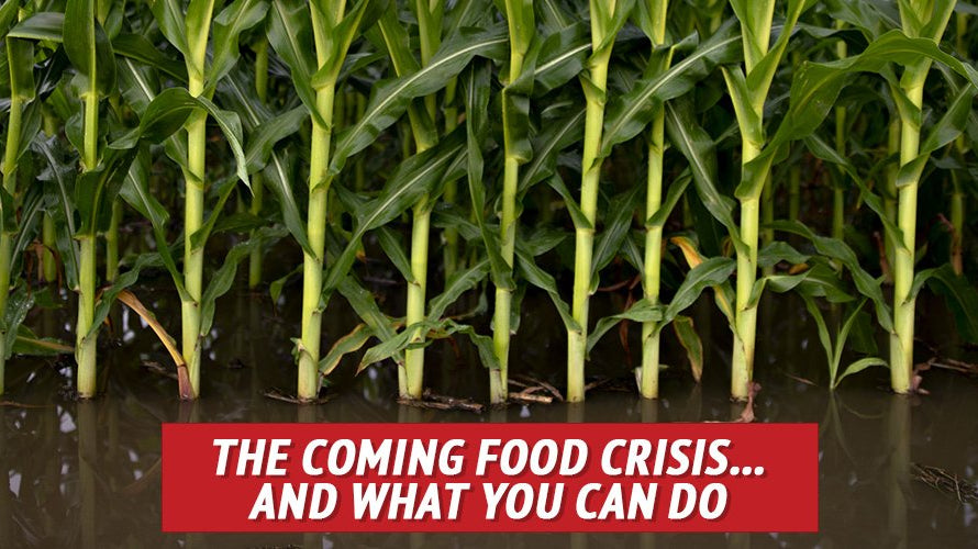 The Coming 2019 Food Crisis… and What You Can Do - My Patriot Supply