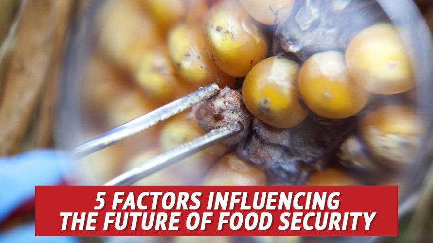 5 Factors Influencing the Future of Food Security - My Patriot Supply