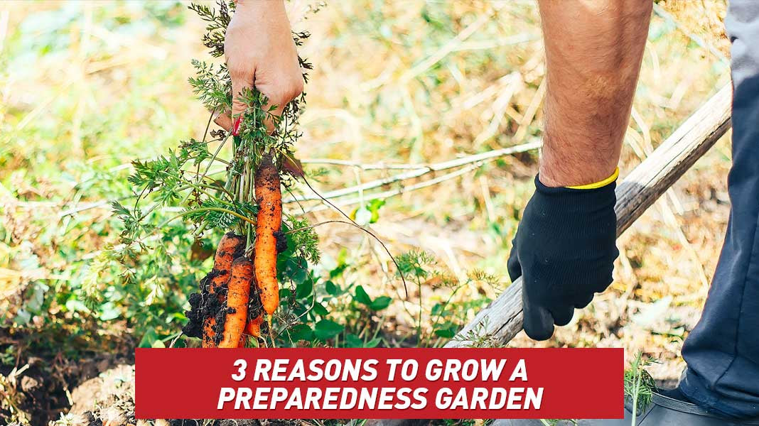 3 Reasons to Grow a Preparedness Garden