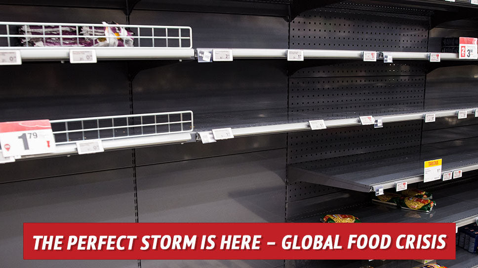 The Perfect Storm Is Here – Global Food Crisis