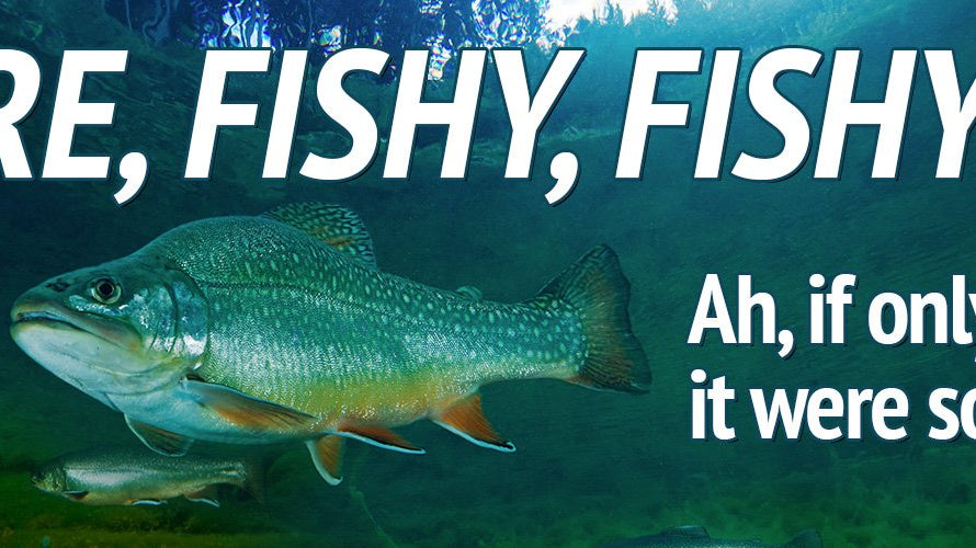 Survival Fishing Part 3: Reading the Water - My Patriot Supply