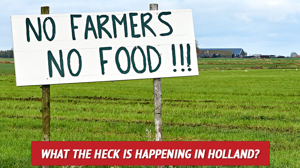 What the Heck Is Happening in Holland?