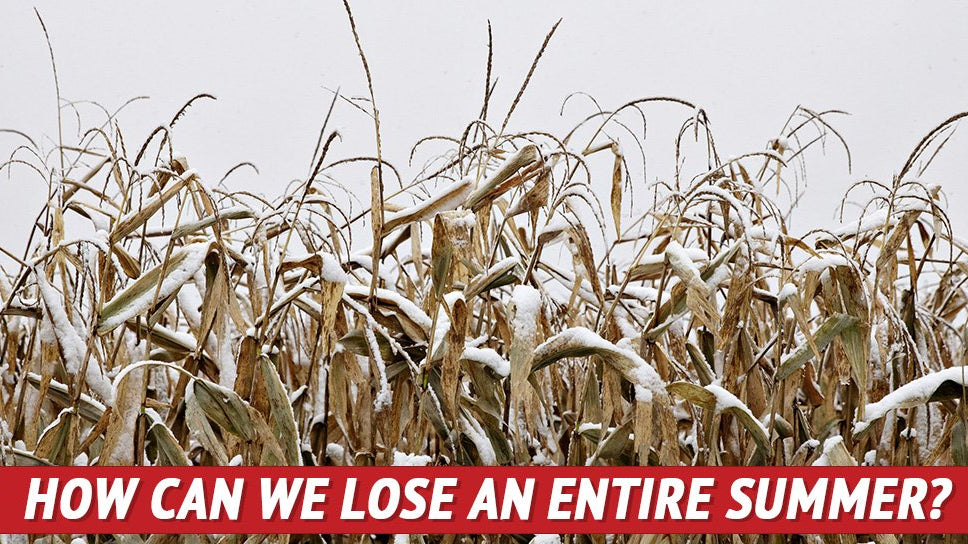 How Can We Lose an Entire Summer? - My Patriot Supply