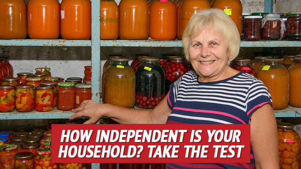 How Independent Is Your Household? Take the Test