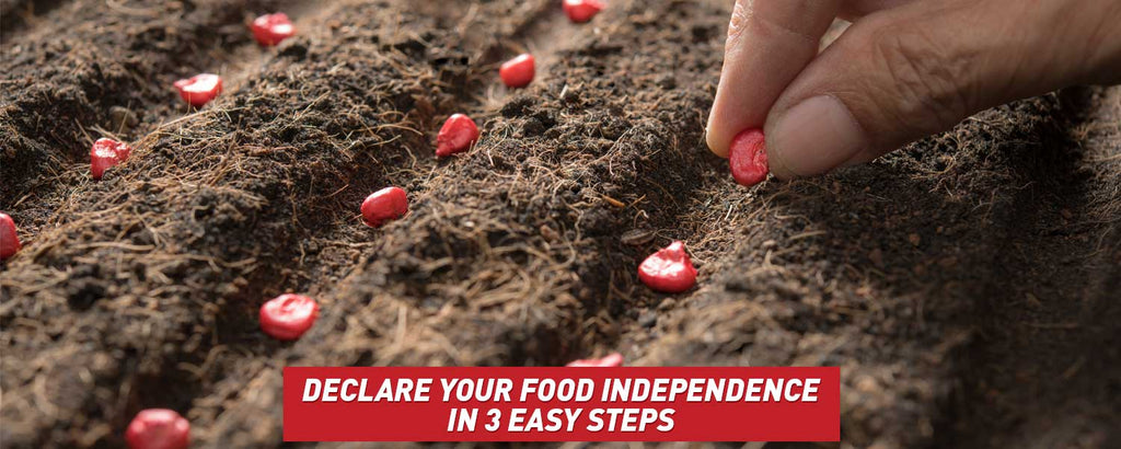 Declare Your Food Independence in 3 Easy Steps