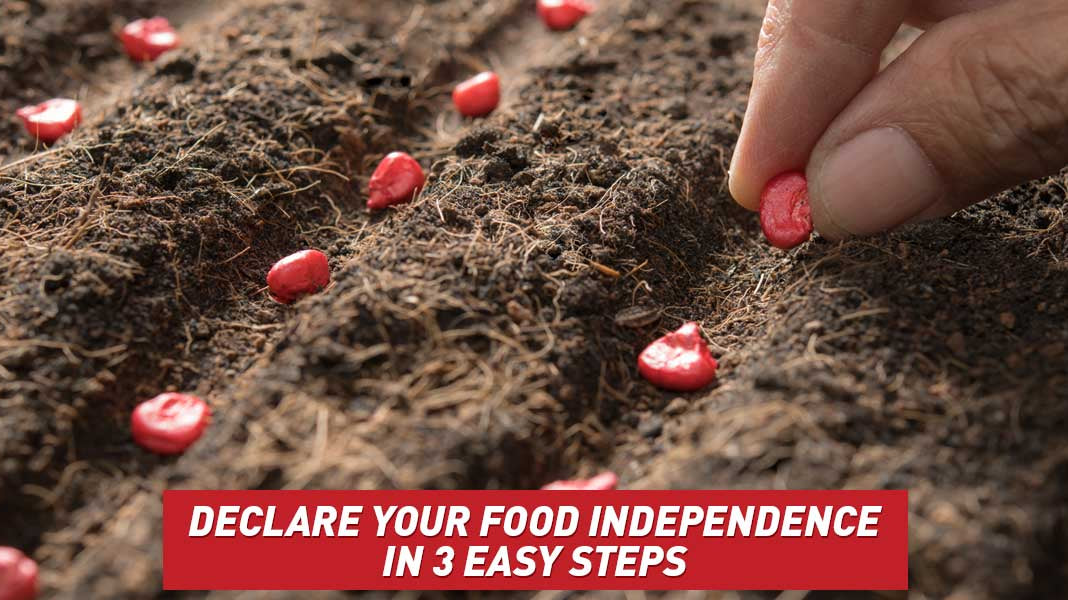 Declare Your Food Independence in 3 Easy Steps