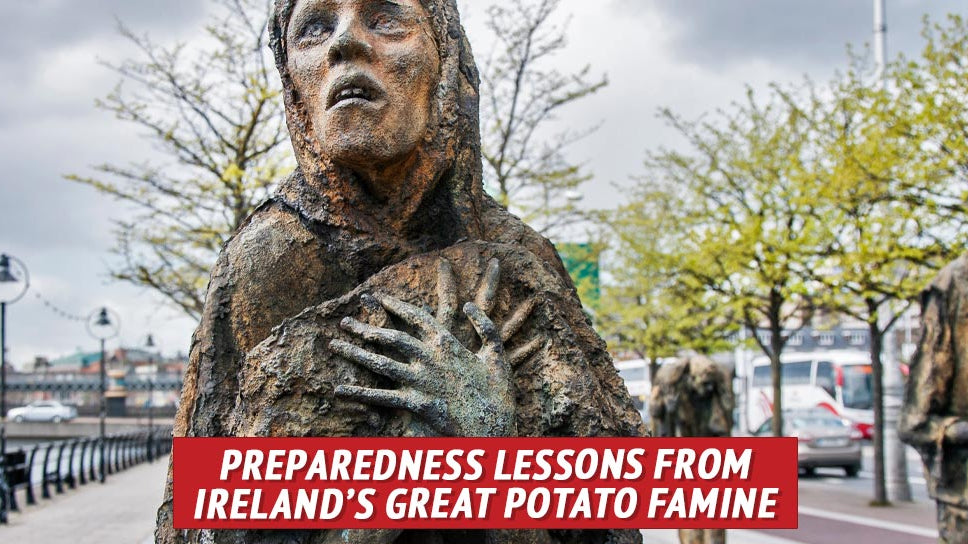 Preparedness Lessons from Ireland’s Great Potato Famine