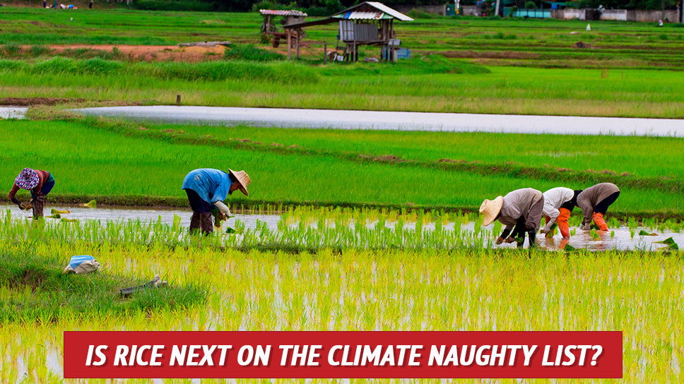 Is Rice Next on the Climate Naughty List?