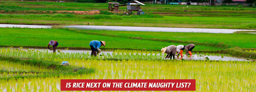 Is Rice Next on the Climate Naughty List?