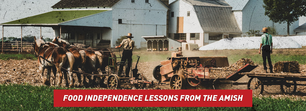 Food Independence Lessons from the Amish