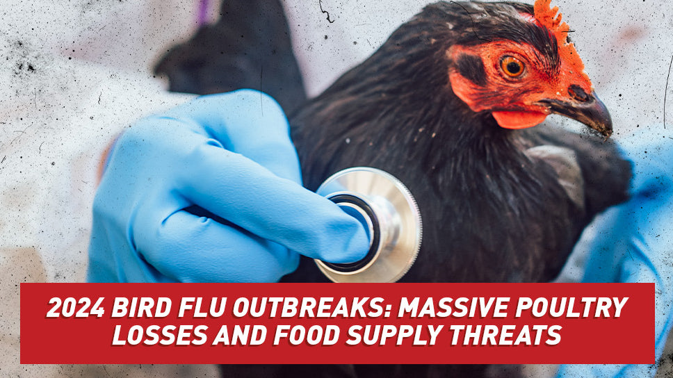 A medical professional in a hazard suit and gloves assessing care of a chicken.