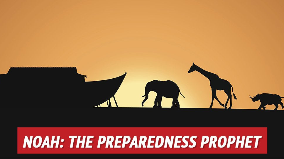 What COVID-19 and the Bible Can Teach Us about Preparedness - My Patriot Supply