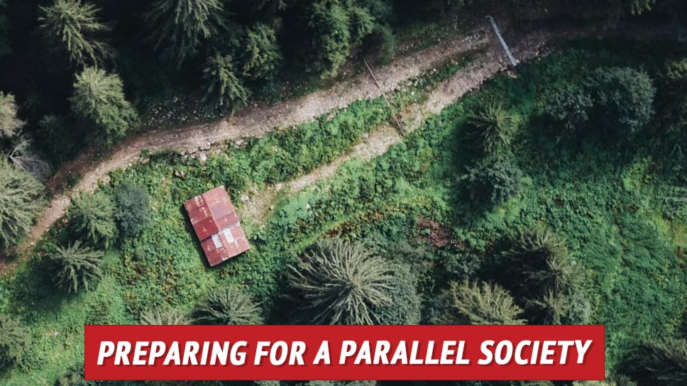 Preparing for a Parallel Society