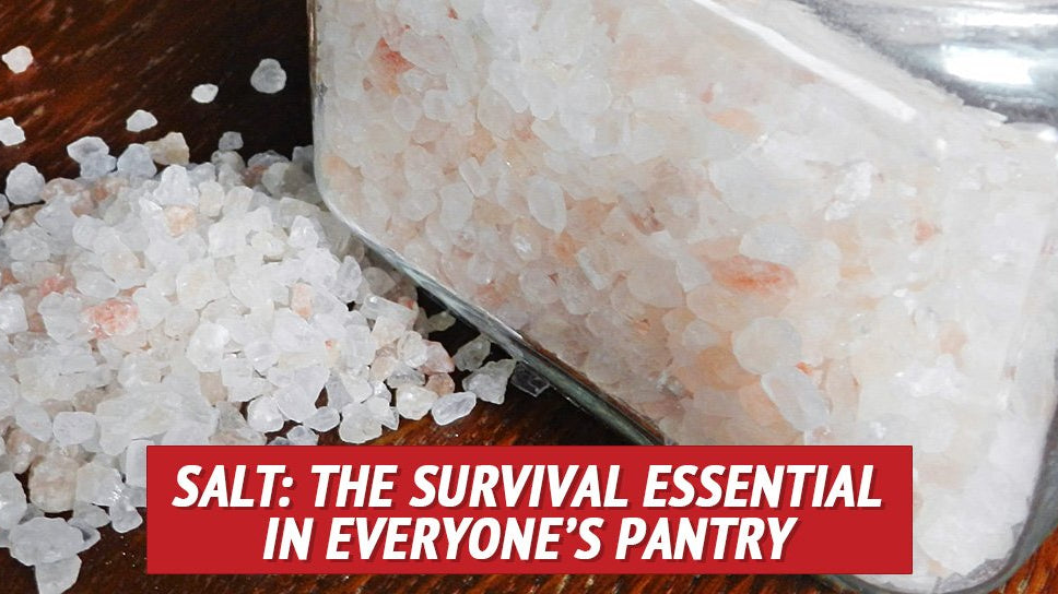 Salt: The Survival Essential in Everyone’s Pantry - My Patriot Supply
