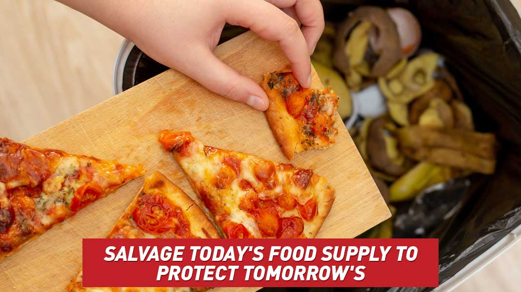Salvage Today's Food Supply to Protect Tomorrow's