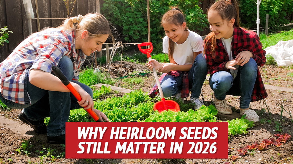 Why Heirloom Seeds Matter in 2026