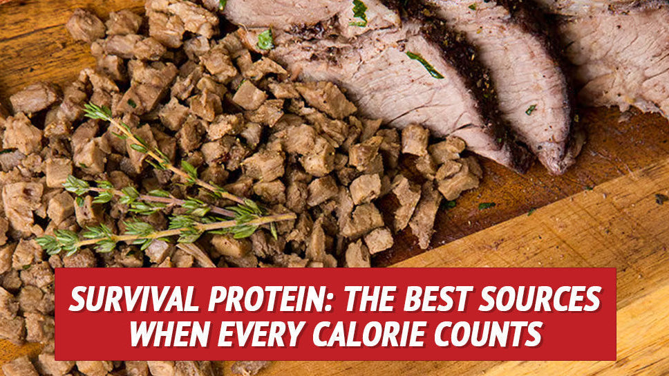 Survival Protein: The Best Sources When Every Calorie Counts