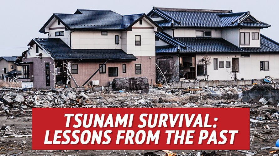 Tsunamis: Are You at Risk & Prepared? - My Patriot Supply