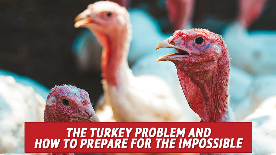 The Turkey Problem and How to Prepare for the Impossible