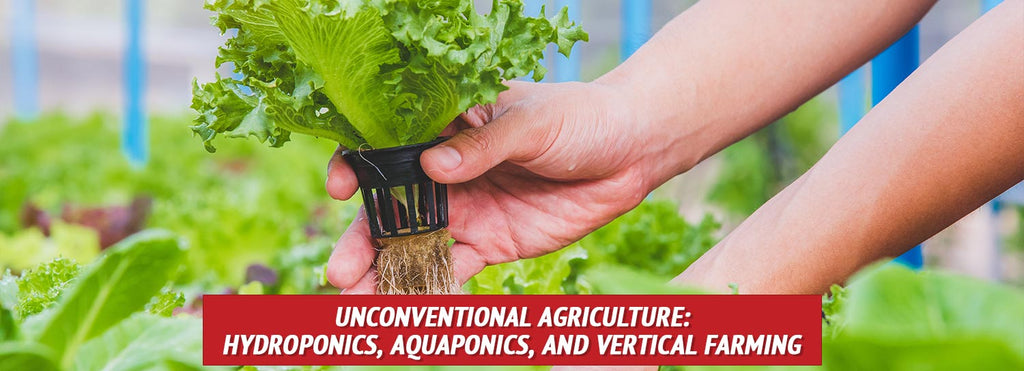 Unconventional Agriculture: Hydroponics, Aquaponics, and Vertical Farming