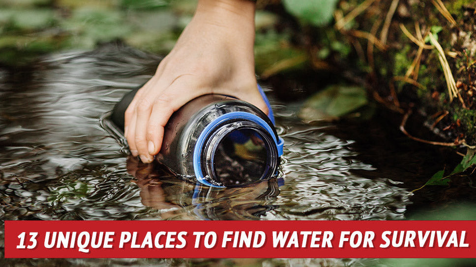 13 Unique Places to Find Water for Survival