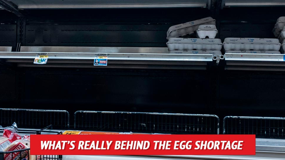 What’s REALLY behind the Egg Shortage