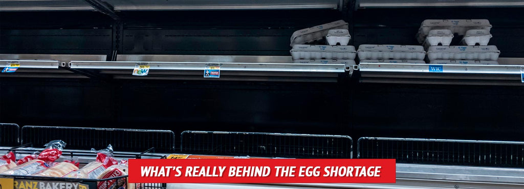 What’s REALLY behind the Egg Shortage