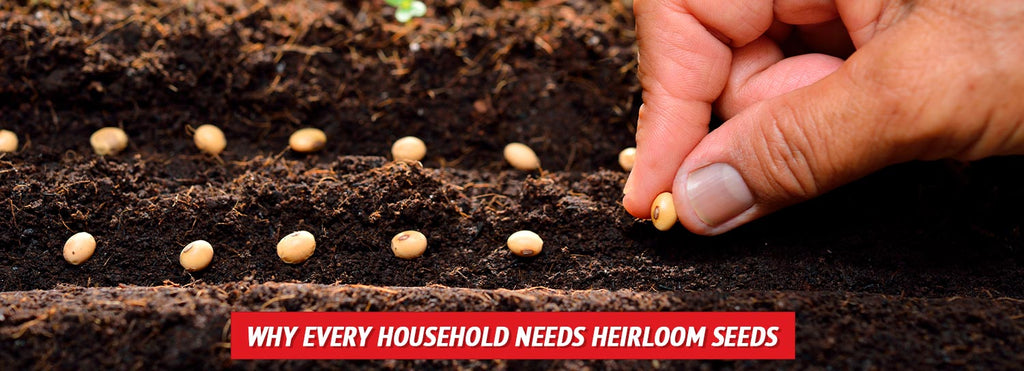 Why Every Household Needs Heirloom Seeds