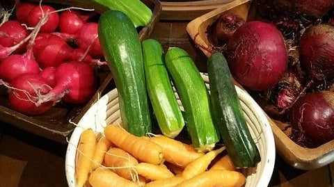 4 Tips for Patriots That Make the Most of Harvest - My Patriot Supply