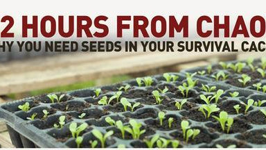 72 Hours From Chaos - Why You Need Seeds - My Patriot Supply