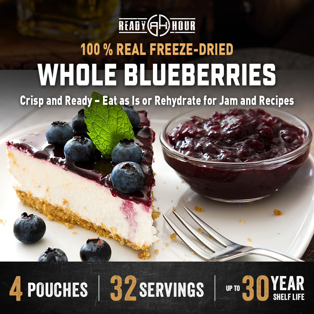 Freeze-dried blueberries with cheesecake