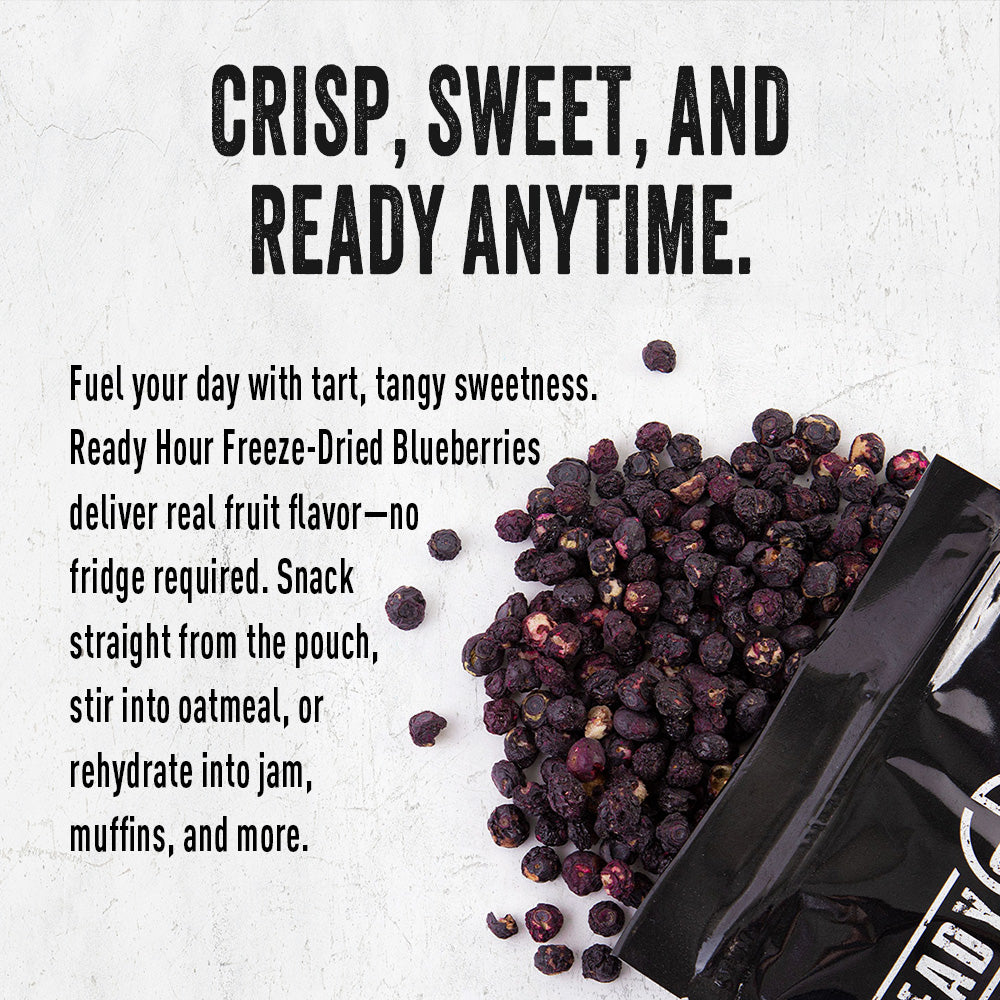 Bag of freeze-dried blueberries info text