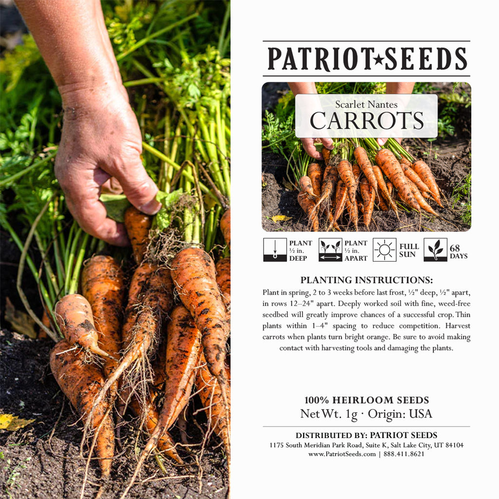 Heirloom Scarlet Nantes Carrot Seeds (1mg) by Patriot Seeds