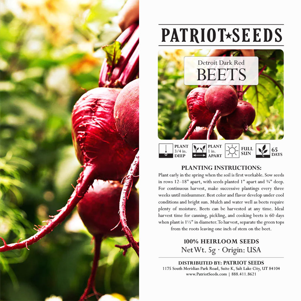 Heirloom Detroit Dark Red Beet Seeds (5g) by Patriot Seeds