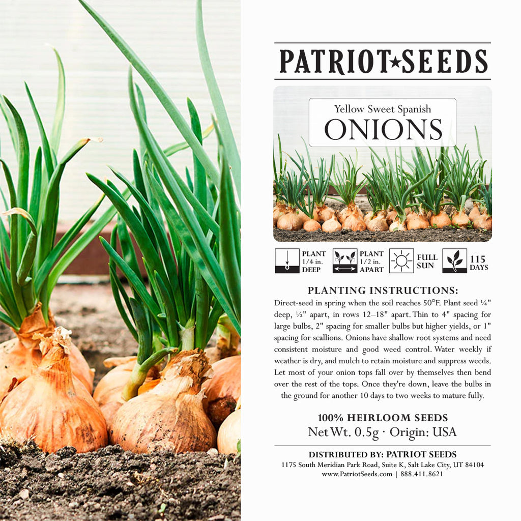 Heirloom Yellow Sweet Spanish Onion Seeds (.5g) by Patriot Seeds