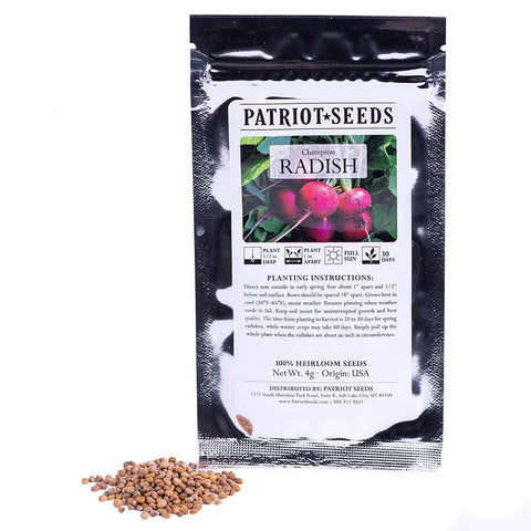 Image of Heirloom Champion Radish Seeds (4g) by Patriot Seeds